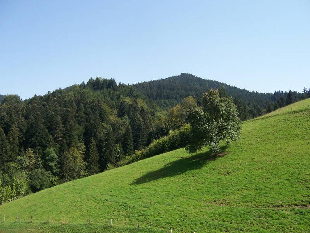 Stinneshof Oberharmersbach Exterior foto