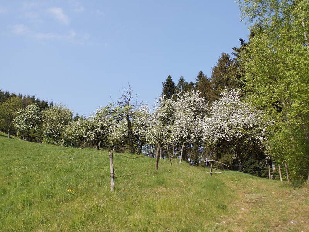 Stinneshof Oberharmersbach Exterior foto