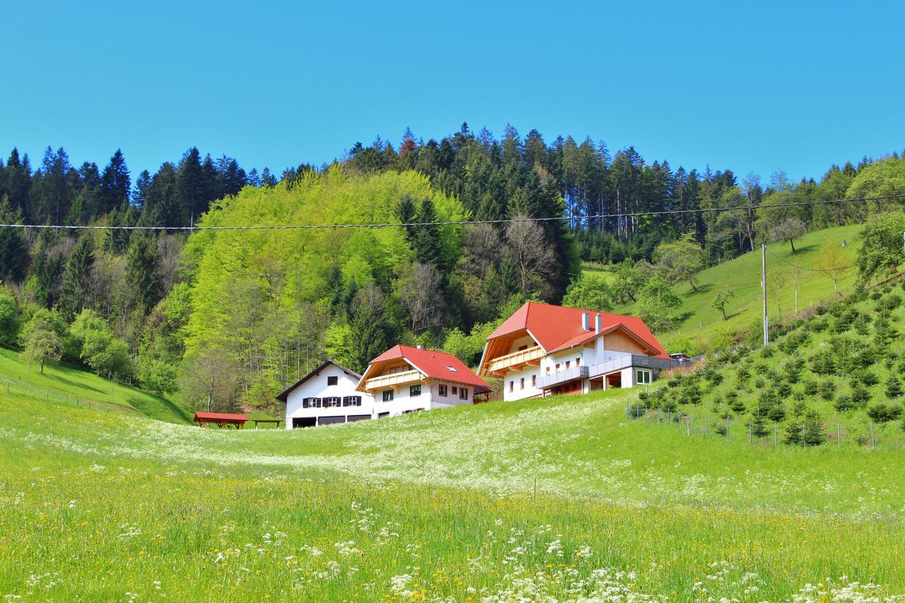 Stinneshof Oberharmersbach Exterior foto